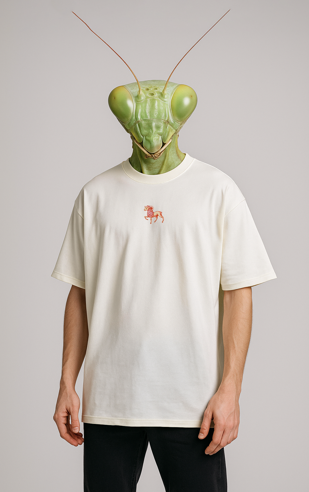 Aries